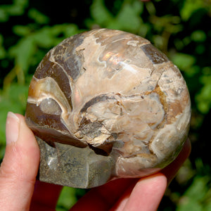 Red Ammonite Hand Carved Crystal Skull