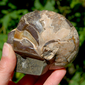 Red Ammonite Hand Carved Crystal Skull