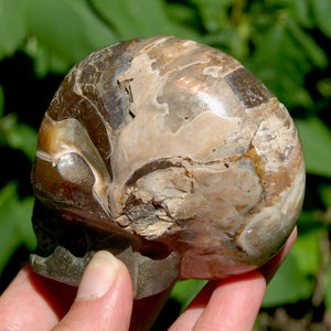 Red Ammonite Hand Carved Crystal Skull