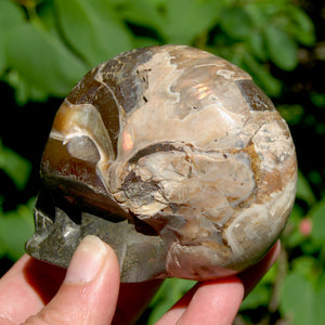 Red Ammonite Hand Carved Crystal Skull