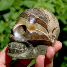 Load image into Gallery viewer, Red Ammonite Hand Carved Crystal Skull
