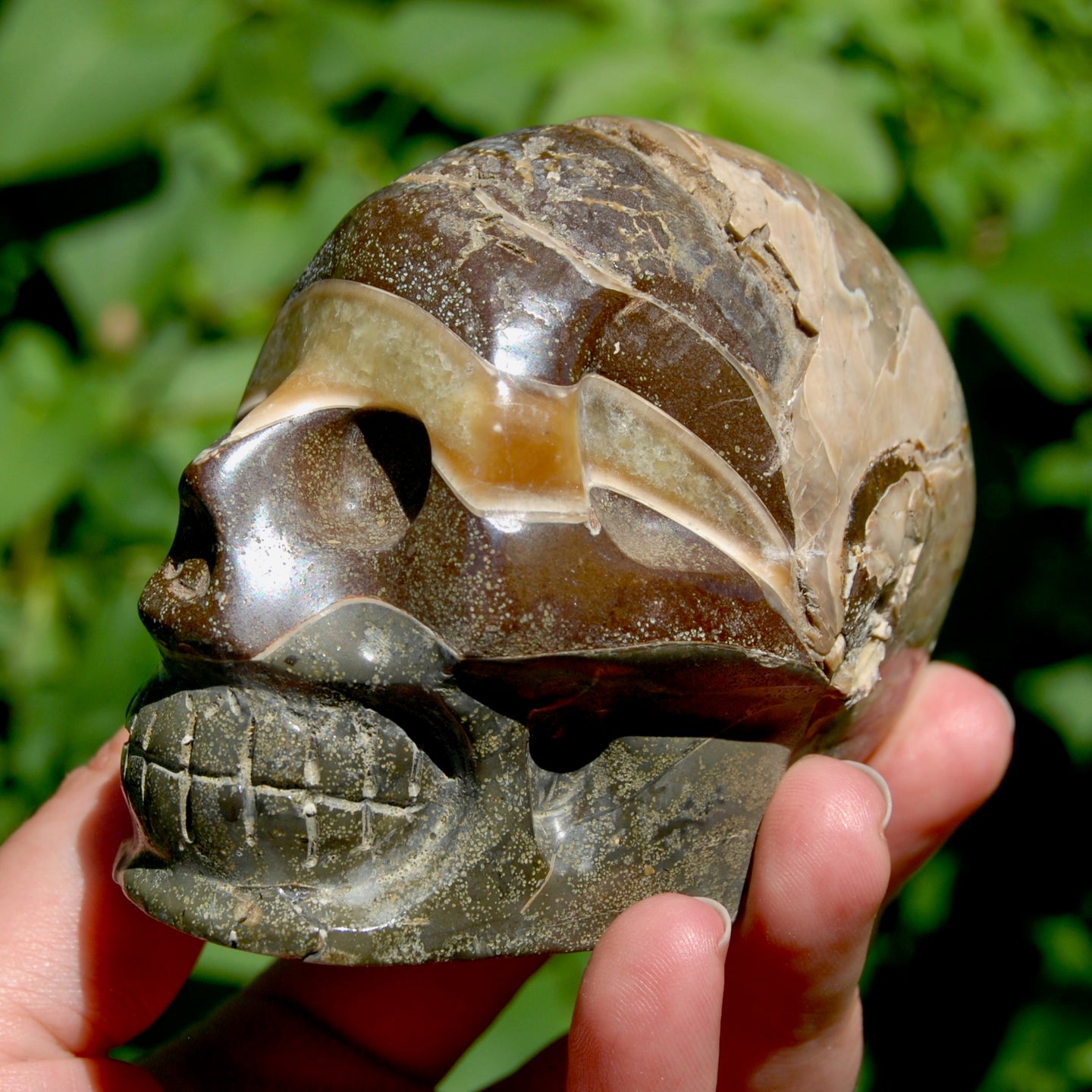 Red Ammonite Hand Carved Crystal Skull