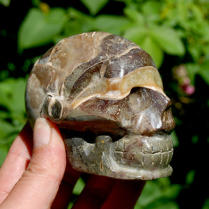 Red Ammonite Hand Carved Crystal Skull