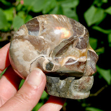 Load image into Gallery viewer, Red Ammonite Hand Carved Crystal Skull
