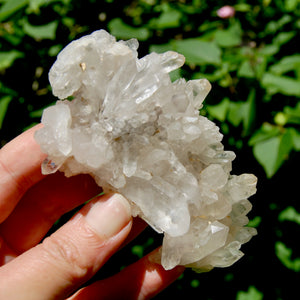 STUNNING Ornate Clear Quartz Crystal Cluster Flower Formation, Zambia