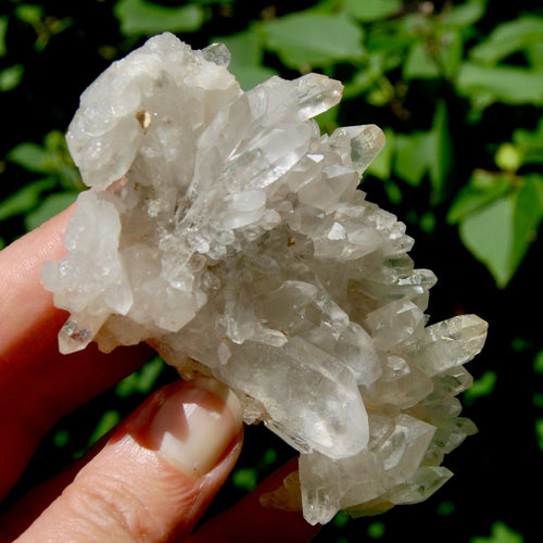 STUNNING Ornate Clear Quartz Crystal Cluster Flower Formation, Zambia