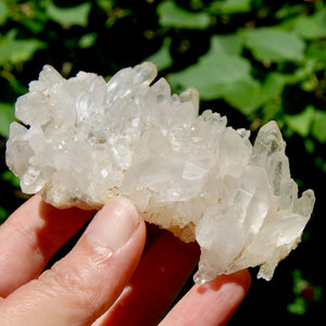 STUNNING Ornate Clear Quartz Crystal Cluster Flower Formation, Zambia