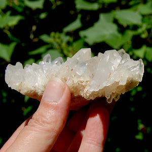 STUNNING Ornate Clear Quartz Crystal Cluster Flower Formation, Zambia