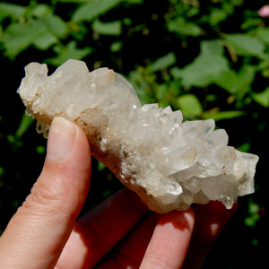 STUNNING Ornate Clear Quartz Crystal Cluster Flower Formation, Zambia