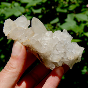 STUNNING Ornate Clear Quartz Crystal Cluster Flower Formation, Zambia