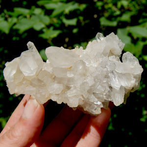 STUNNING Ornate Clear Quartz Crystal Cluster Flower Formation, Zambia