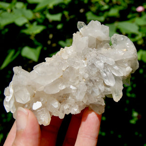 STUNNING Ornate Clear Quartz Crystal Cluster Flower Formation, Zambia