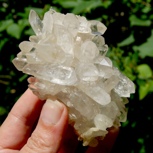 Ornate Clear Quartz Crystal Cluster Flower Formation, Zambia