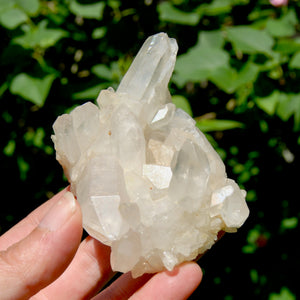 Spessartine Garnet Clear Quartz Crystal Cluster