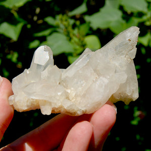 Spessartine Garnet Clear Quartz Crystal Cluster