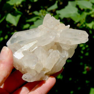 Spessartine Garnet Clear Quartz Crystal Cluster