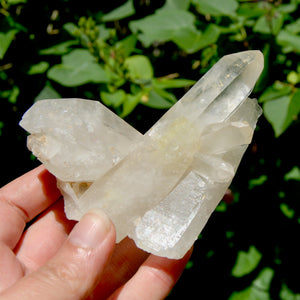 Raw Isis Face Golden Healer Clear Quartz Crystal Cluster, Limonite, Zambia