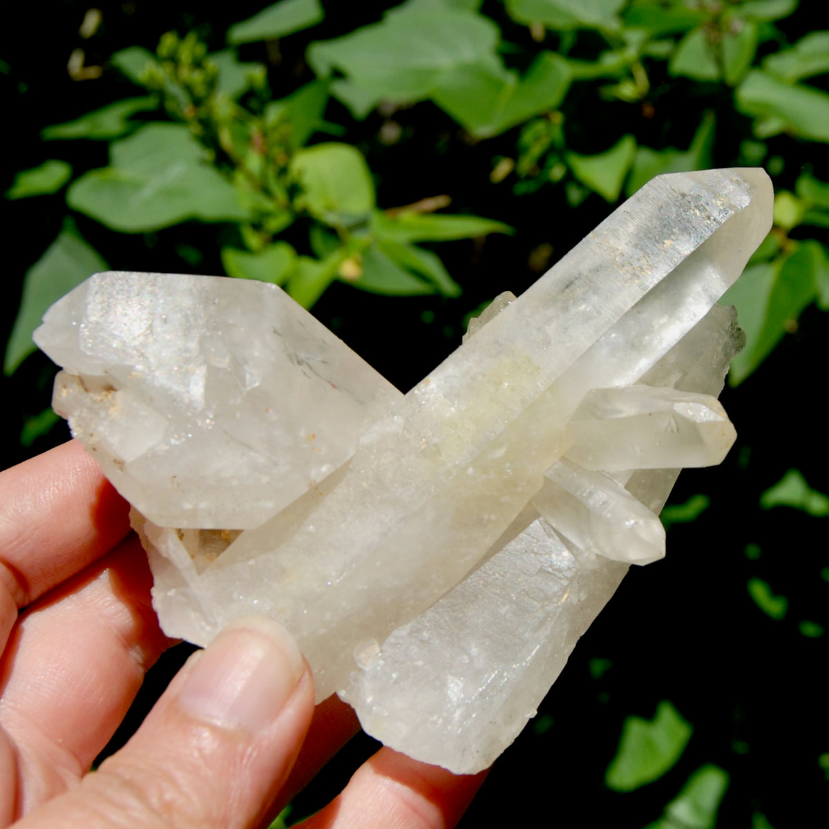Raw Isis Face Golden Healer Clear Quartz Crystal Cluster, Limonite, Zambia