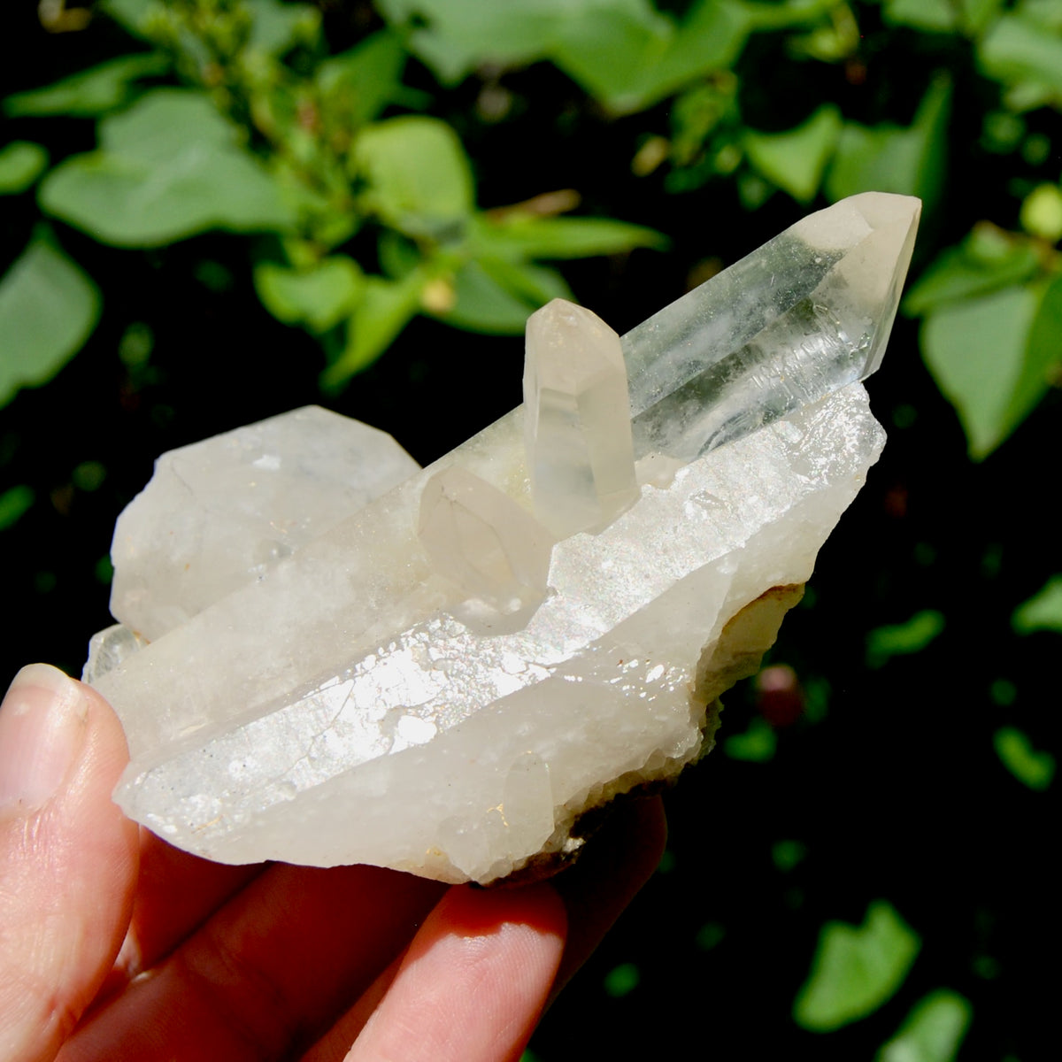 Raw Isis Face Golden Healer Clear Quartz Crystal Cluster, Limonite, Zambia