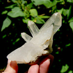 Raw Isis Face Golden Healer Clear Quartz Crystal Cluster, Limonite, Zambia
