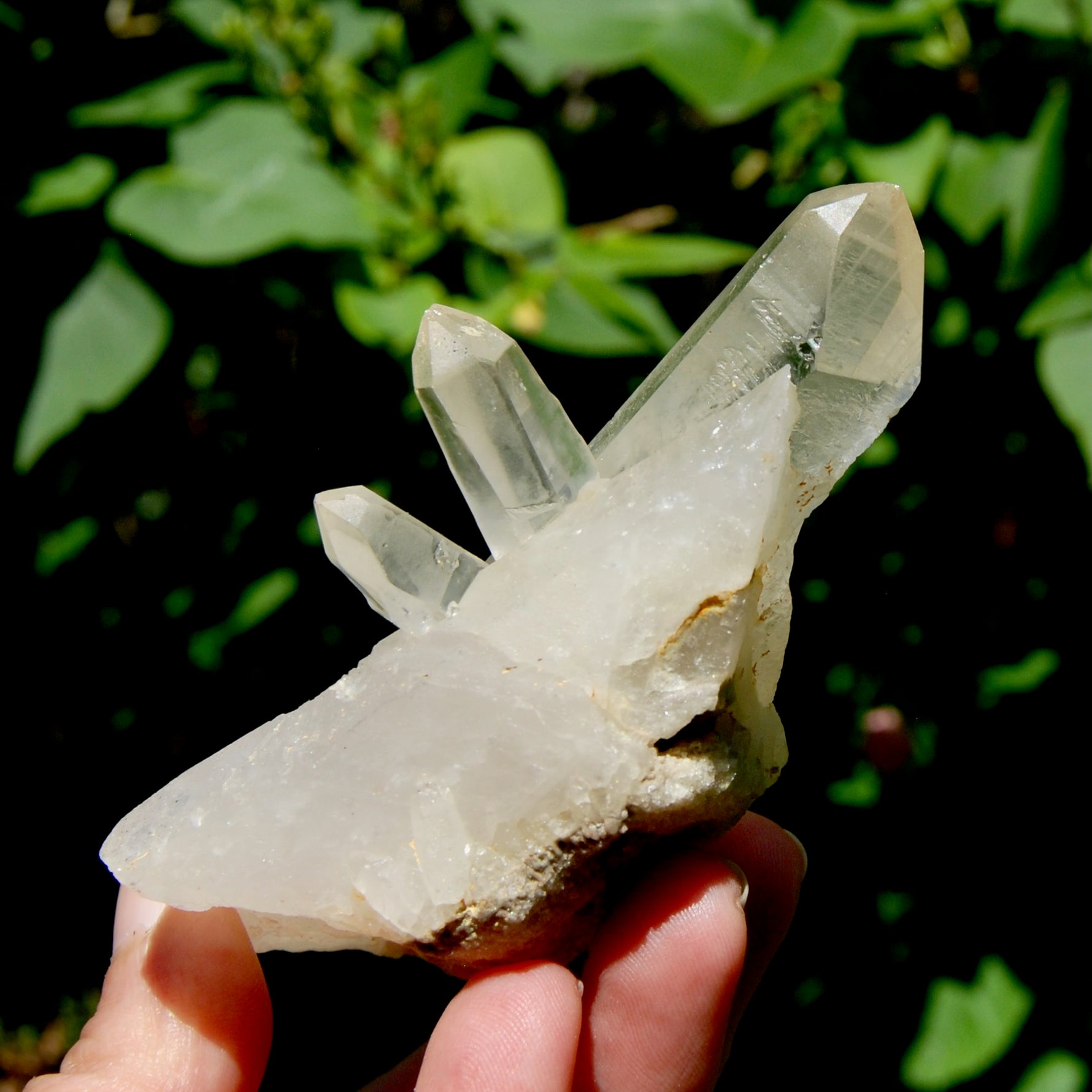 Raw Isis Face Golden Healer Clear Quartz Crystal Cluster, Limonite, Zambia