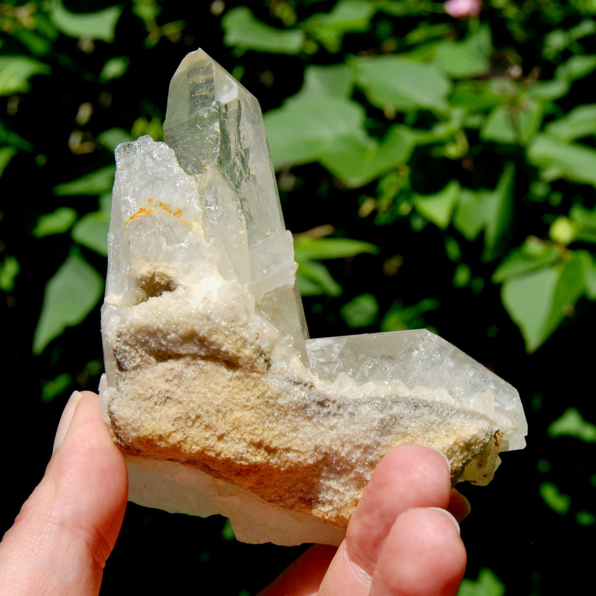 Raw Isis Face Golden Healer Clear Quartz Crystal Cluster, Limonite, Zambia
