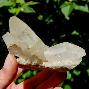 Raw Isis Face Golden Healer Clear Quartz Crystal Cluster, Limonite, Zambia