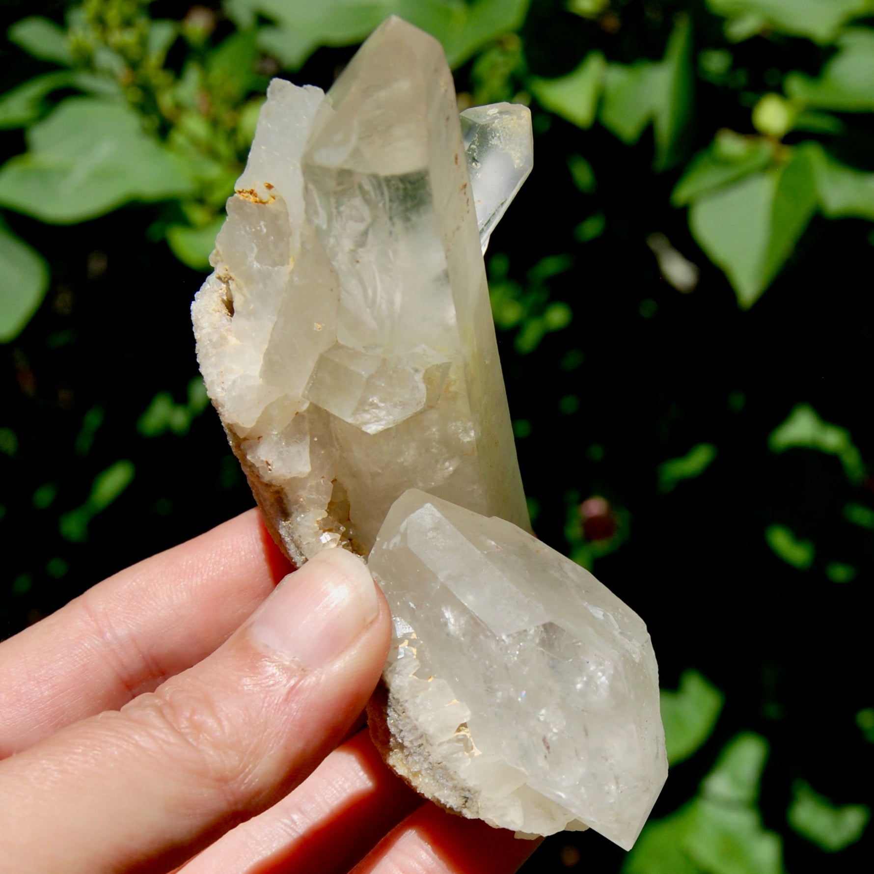 Raw Isis Face Golden Healer Clear Quartz Crystal Cluster, Limonite, Zambia