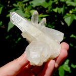 Raw Isis Face Golden Healer Clear Quartz Crystal Cluster, Limonite, Zambia