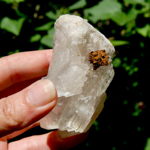 DT ET Clear Quartz Crystal Elestial Cathedral Cluster, Zambia