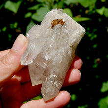 Load image into Gallery viewer, DT ET Clear Quartz Crystal Elestial Cathedral Cluster, Zambia
