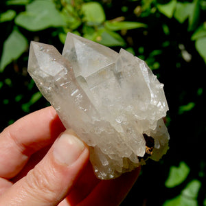 DT ET Clear Quartz Crystal Elestial Cathedral Cluster, Zambia