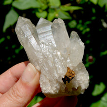 Load image into Gallery viewer, DT ET Clear Quartz Crystal Elestial Cathedral Cluster, Zambia
