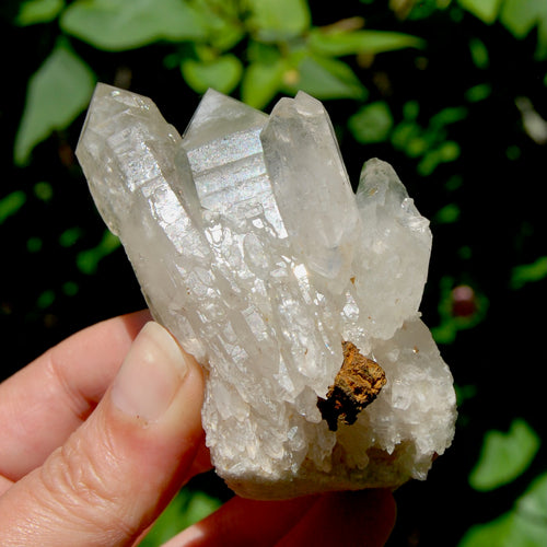 DT ET Clear Quartz Crystal Elestial Cathedral Cluster, Zambia