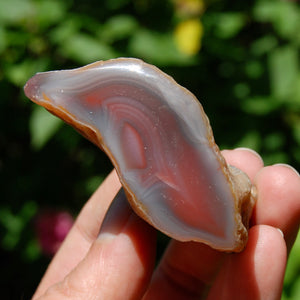 Red Botswana Agate Semi Polished Crystal Nodule