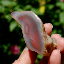 Load image into Gallery viewer, Red Botswana Agate Semi Polished Crystal Nodule
