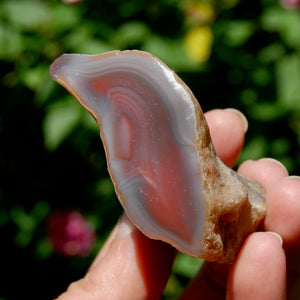 Red Botswana Agate Semi Polished Crystal Nodule