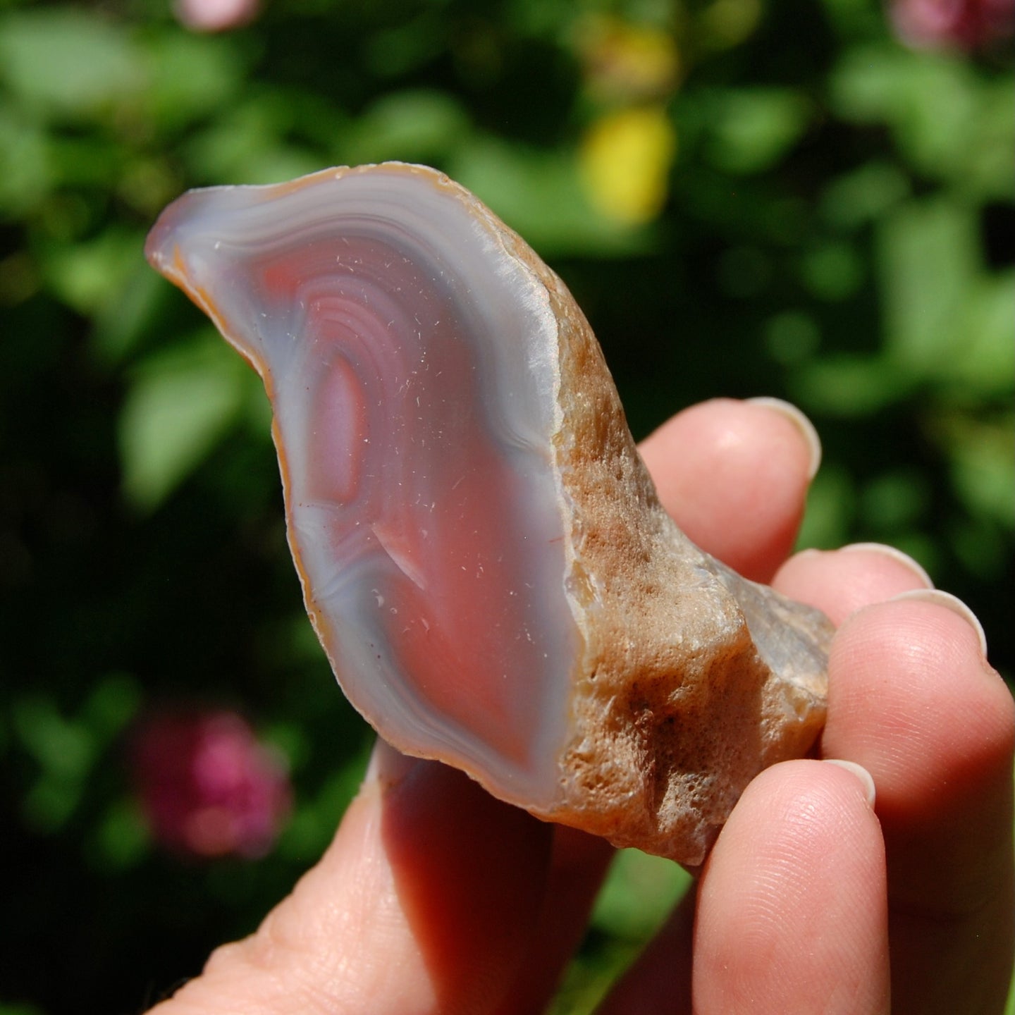 Red Botswana Agate Semi Polished Crystal Nodule