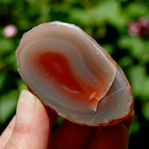 Red Botswana Agate Semi Polished Crystal Nodule