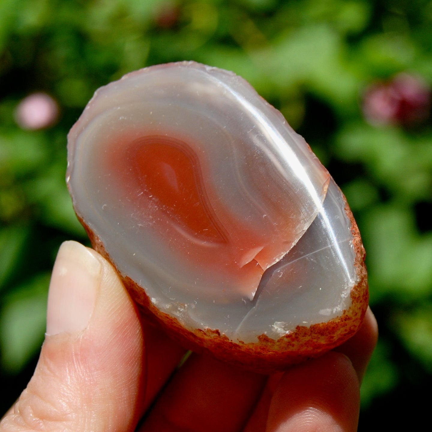 Red Botswana Agate Semi Polished Crystal Nodule