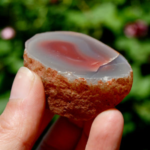 Red Botswana Agate Semi Polished Crystal Nodule