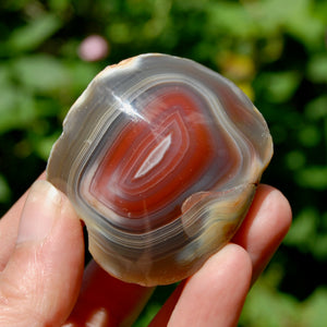 Red Botswana Agate Semi Polished Crystal Nodule