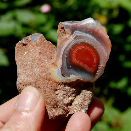 Red Botswana Agate Semi Polished Crystal Nodule