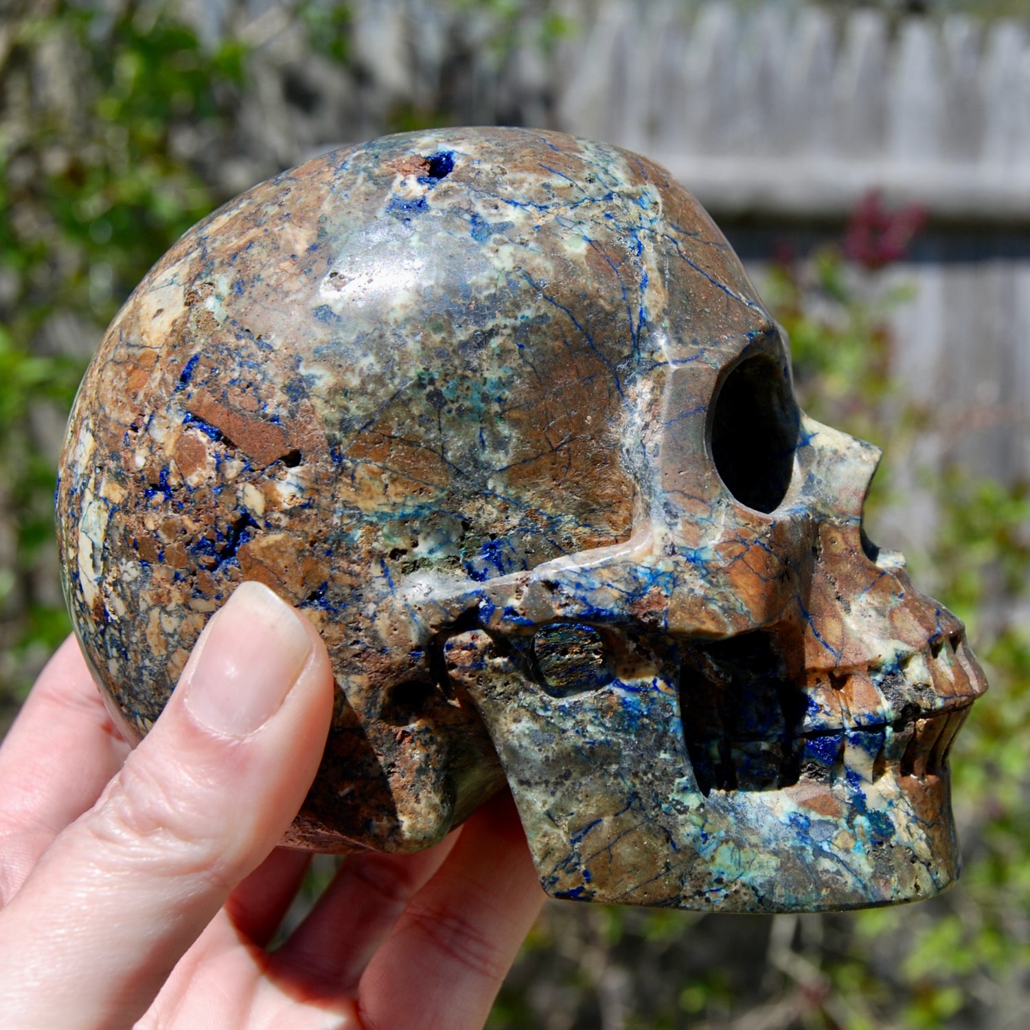 Azurite Malachite Matrix Carved Crystal Skull