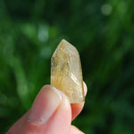 Channeler Golden Rutile Clear Quartz Crystal Mini Tower