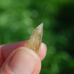 Channeler Golden Rutile Clear Quartz Crystal Mini Tower