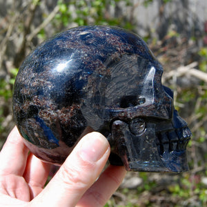 Arfvedsonite Garnet Crystal Skull