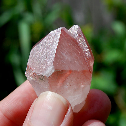 Tantric Twin Strawberry Pink Lemurian Seed Quartz Crystal Starbrary