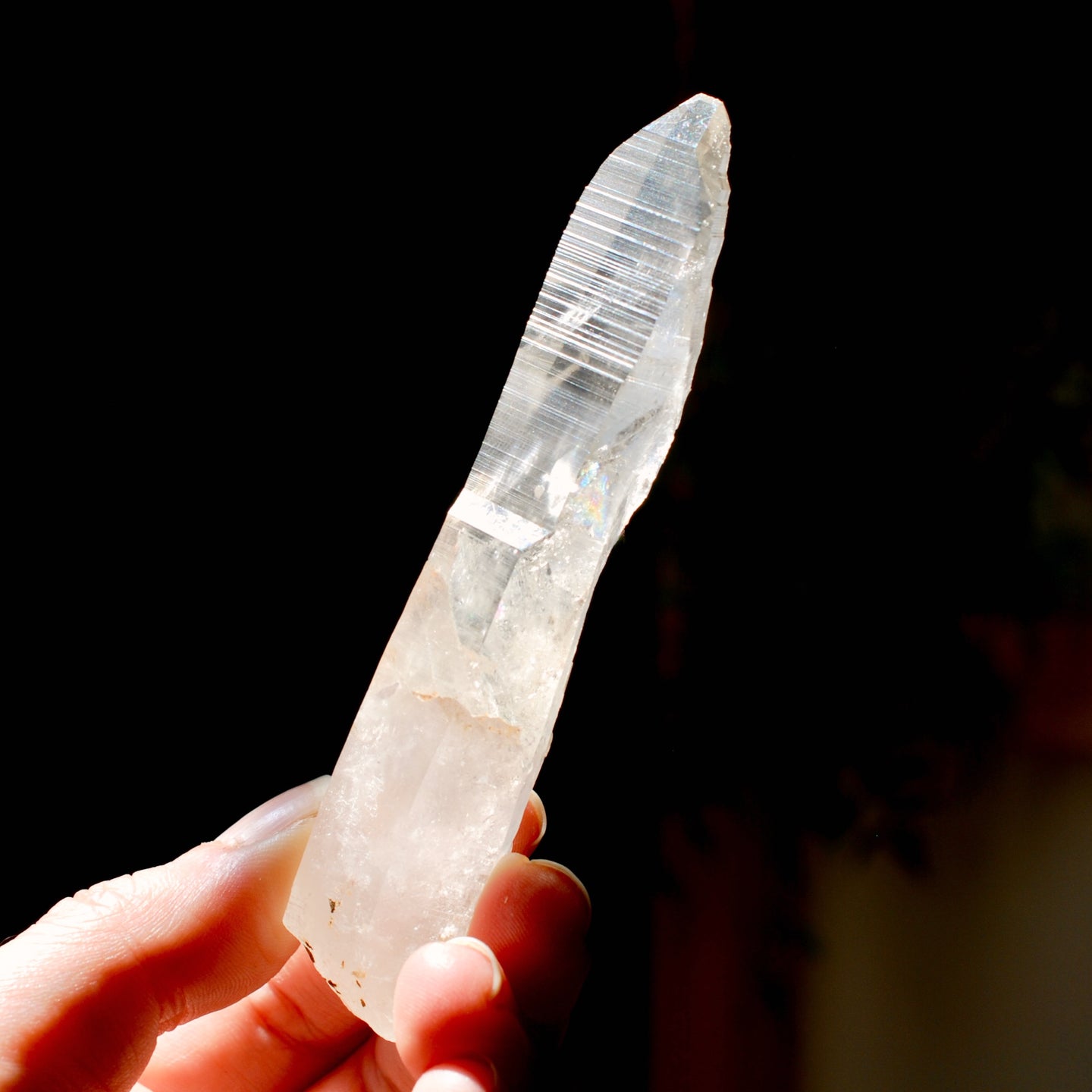 4.3in 62g Colombian Lemurian Seed Crystal Tabby Laser Starbrary, Boyaca, Colombia