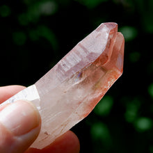 Load image into Gallery viewer, Curved Strawberry Pink Lemurian Seed Quartz Crystal Tantric Twin, Serra do Cabral, Brazil
